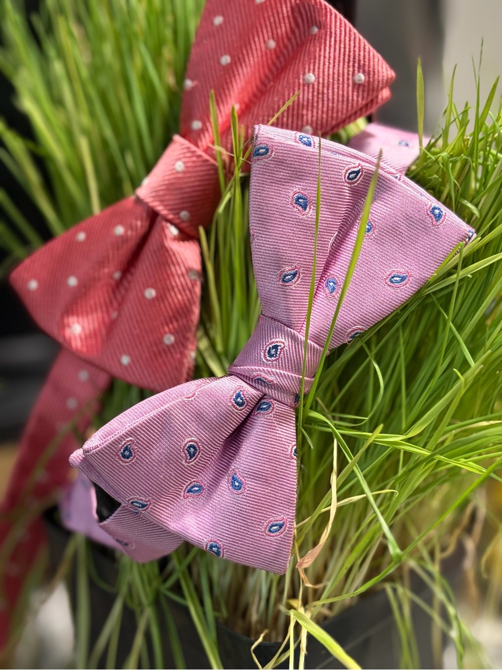 Pink  Bow Tie Duo
